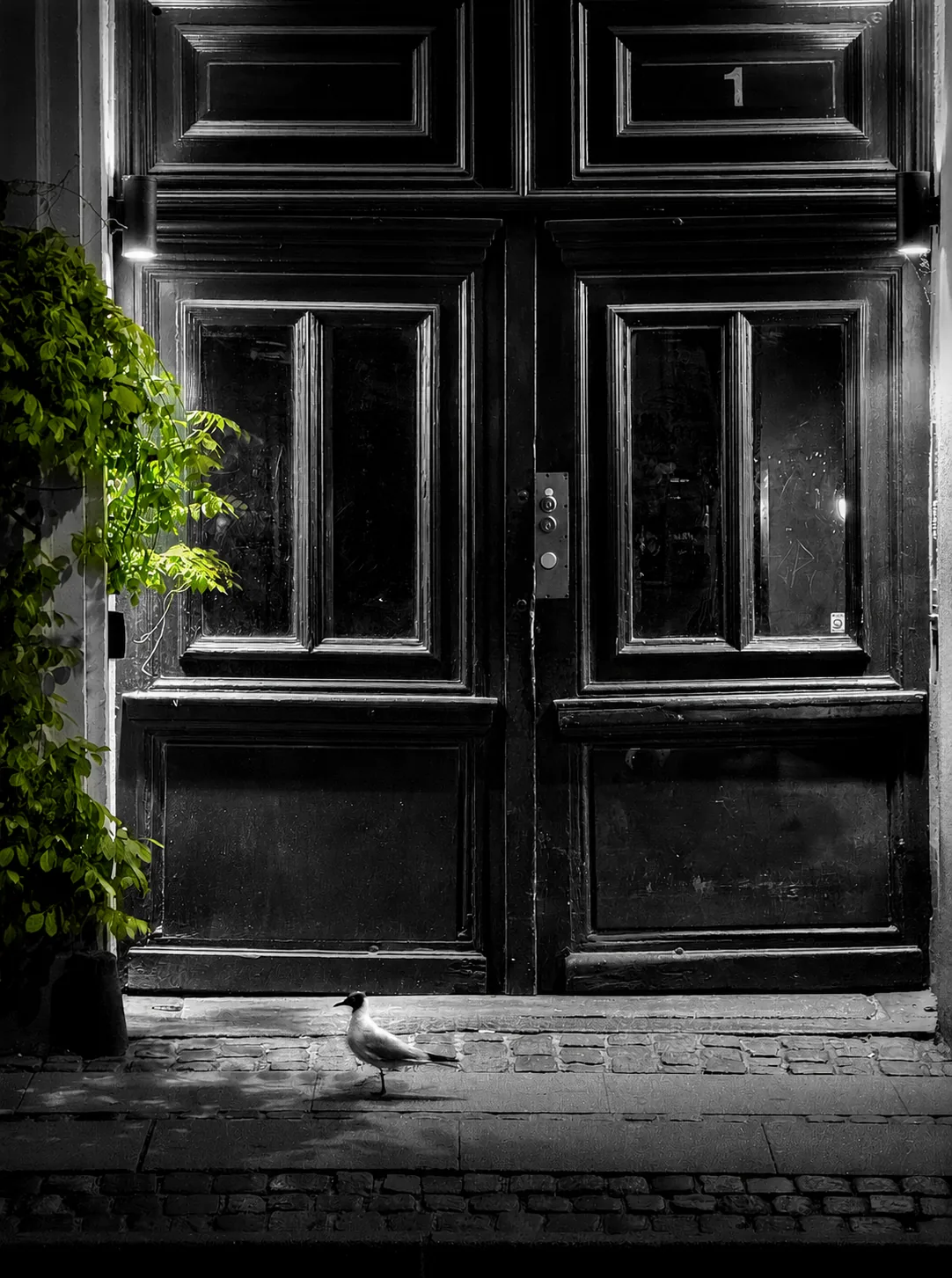 European doorway